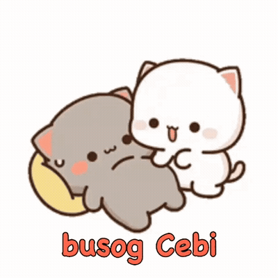 Two Cats Laying Next To Each Other GIF