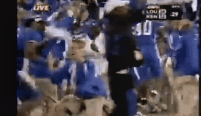 Two Cats Laying On Bed Here's To You Brutus Panda GIF