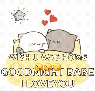 Two Cats Laying On Bed Wish U Was Home Goodnight Babe I Love You GIF