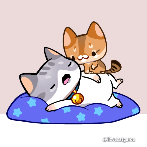 Two Cats Laying On Blue Pillow @Ilovecatgame GIF