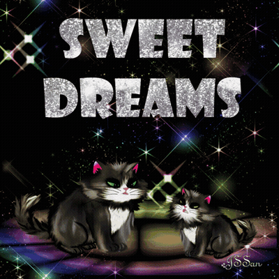 Two Cats Laying On Couch Sweet Dreams GIF