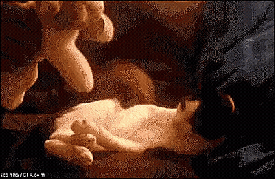 Two Cats Laying On Each Other On Blanket GIF