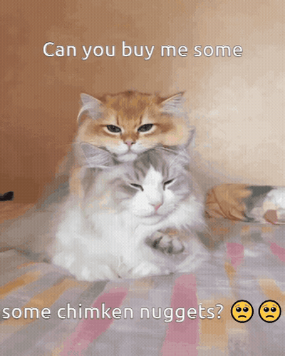 Two Cats Laying On Top Of Each Other Can You Buy Me Some Chimken Nuggets GIF