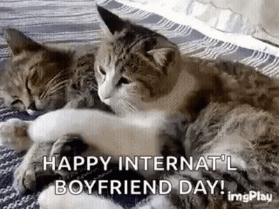 Two Cats Laying On Top Of Each Other On Bed GIF