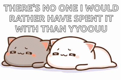 Two Cats Laying There's No One I Would Rather Have Spent It With GIF