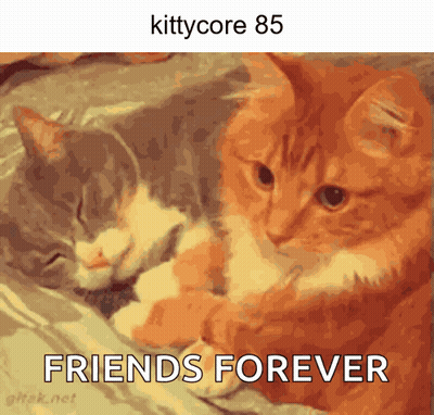 Two Cats Laying Together Friends Forever GIF