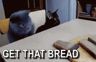 Two Cats Looking At A Table With The Words Get That Bread Below Them GIF