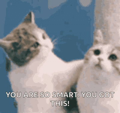 Two Cats Looking At Each Other GIF