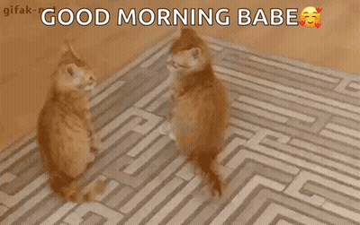 Two Cats Looking At Each Other On A Rug With The Words Good Morning Babe Below Them GIF