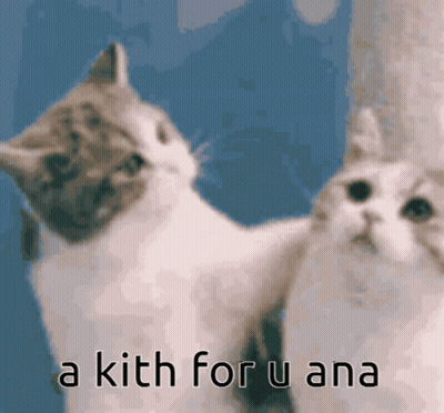 Two Cats Looking At Each Other Saying A Kith For U Ana GIF