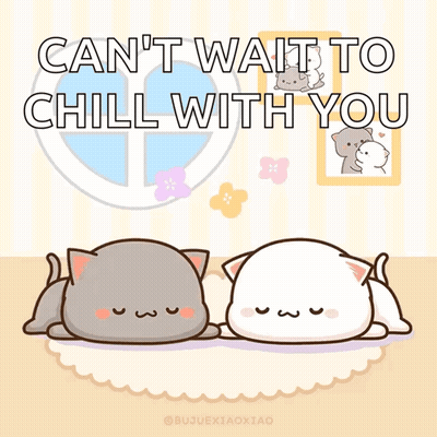 Two Cats Lying Can't Wait To Chill With You GIF