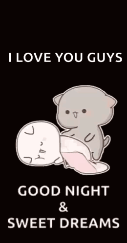 Two Cats Lying Next To Each Other GIF