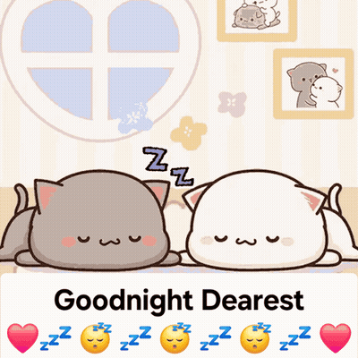 Two Cats Lying Next To Each Other Goodnight Dearest GIF
