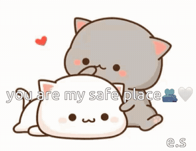 Two Cats Lying Next To Each Other GIF