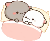 Two Cats Lying Next To Each Other Sticker