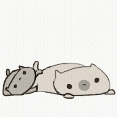 Two Cats Lying Together GIF