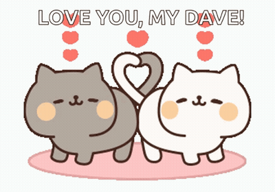 Two Cats Making Heart Shape Love You My Dave GIF