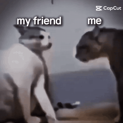 Two Cats My Friend Me GIF