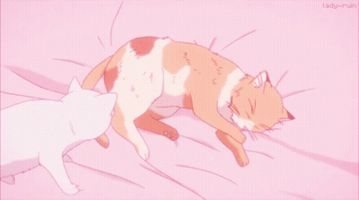 Two Cats On Bed With Lady-Ruiin GIF