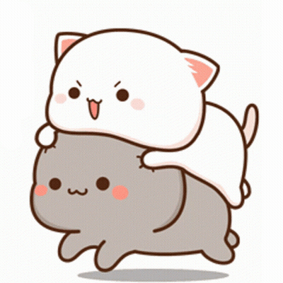Two Cats Playing GIF