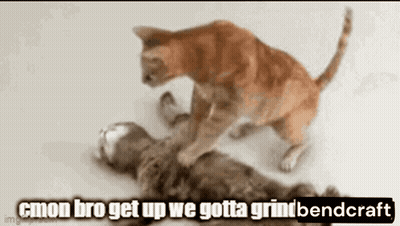 Two Cats Playing, One Lying Down GIF