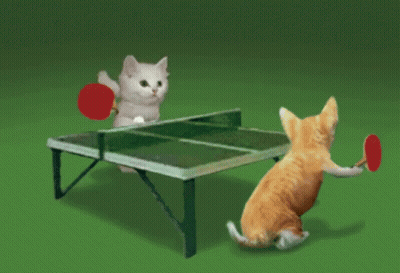 Dos gatos jugando ping pong GIF