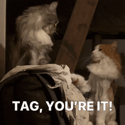Two Cats Playing With A Piece Of Paper With The Words Tag You 'Re It Below Them GIF