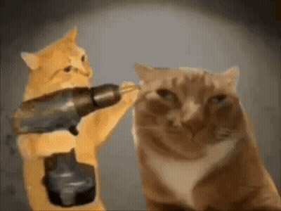 Two Cats Playing With Drill GIF