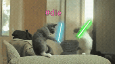 Two Cats Playing With Lightsabers #Die GIF