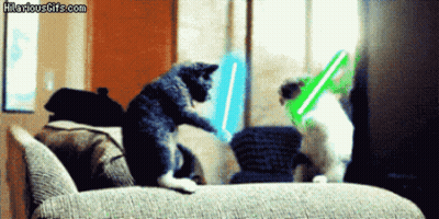Two Cats Playing With Lightsabers On Couch GIF
