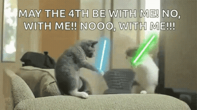 Two Cats Playing With Lightsabers GIF