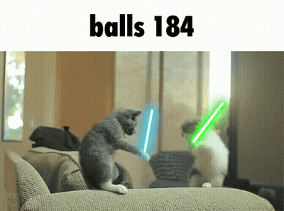 Two Cats Playing With Lightsabers GIF
