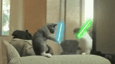 Two Cats Playing With Lightsabers GIF