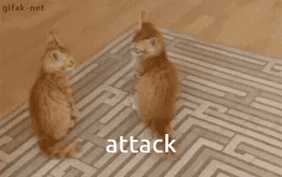 Two Cats Playing With Maze Saying Attack GIF