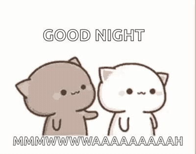 Two Cats Saying Good Night GIF
