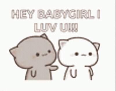 Two Cats Saying Hey Babygirl I Luv You GIF