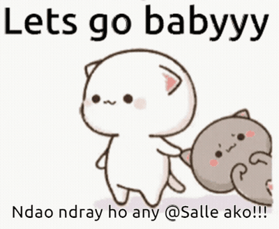 Two Cats Saying Let's Go Babyyy Ndao Ndray Ho Any @Salle Ako !!! GIF