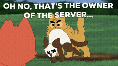 Two Cats Saying Oh No That's The Owner Of The Server GIF