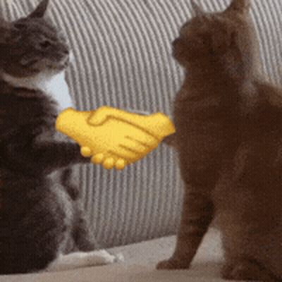 Two Cats Shaking Hands On A Couch With A Yellow Hand GIF