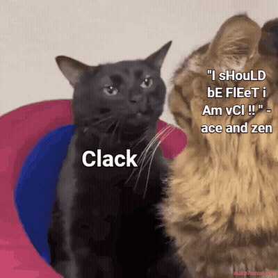 Two Cats Side By Side Saying Clack GIF