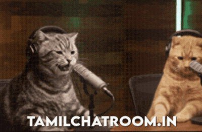 Two Cats Sitting At Microphones Tamilchatroom.in GIF
