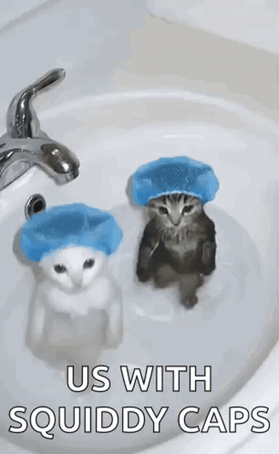 Two Cats Sitting In Sink Wearing Squiddy Caps GIF