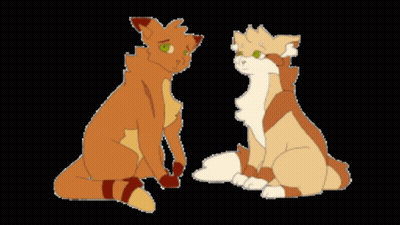 Two Cats Sitting Next To Each Other On Black Background GIF