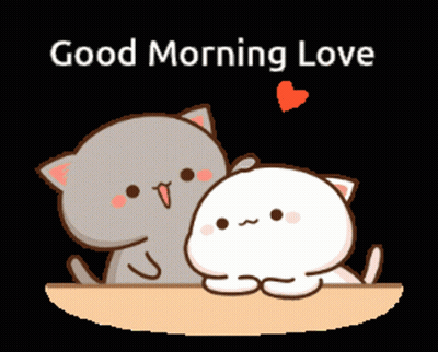 Two Cats Sitting On Table Good Morning Love GIF