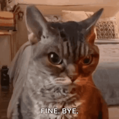 Two Cats Sitting Together One Saying Fine Bye GIF
