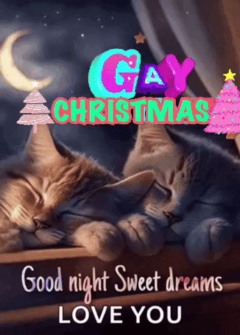 Two Cats Sleeping Christmas GIF