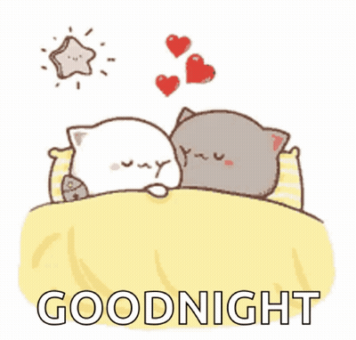 Two Cats Sleeping Goodnight GIF