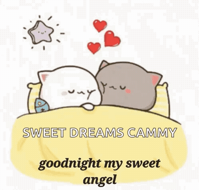 Two Cats Sleeping In Bed With Hearts And Star GIF