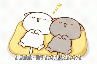 Two Cats Sleeping On Couch Saying Sleep In Saturdays GIF