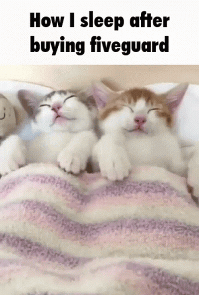 Two Cats Sleeping Under A Striped Blanket With The Words How I Sleep After Buying Fiveguard Above Them GIF